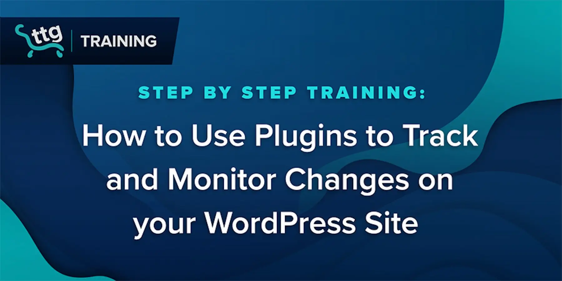 Thumbnail - How to Use Plugins to Track and Monitor Changes on your WordPress Site
