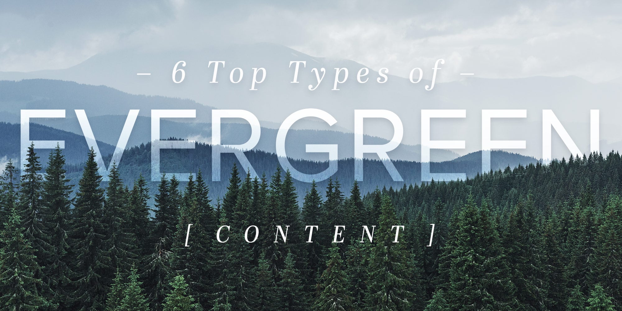 6 Top Types of Evergreen Content You Should Start Creating