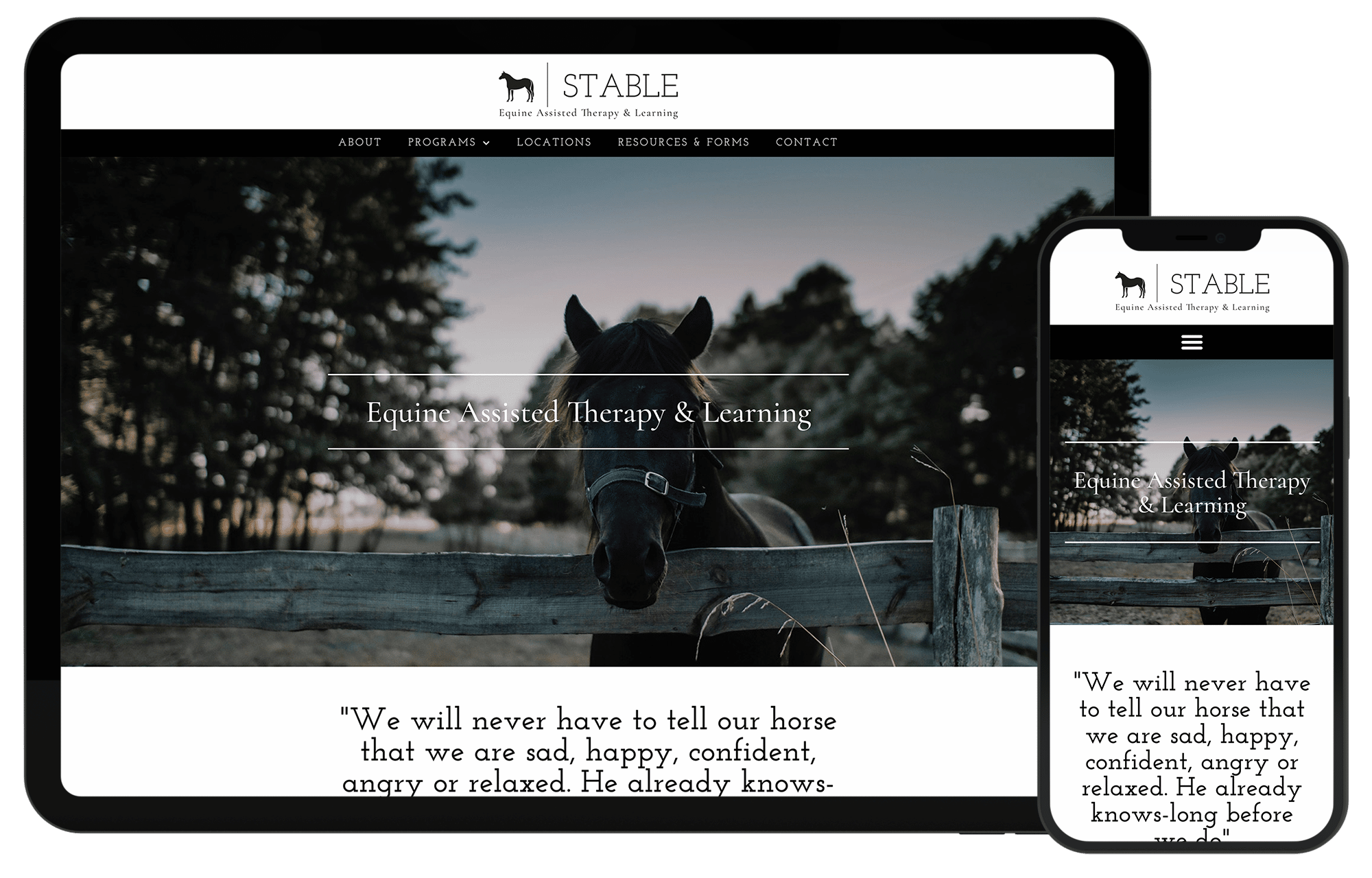 stable_screens-main.png